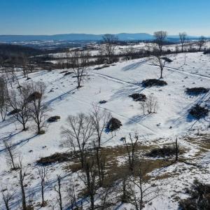 Photo #8 of ORCHARD DR, TIMBERVILLE, VA 60.0 acres