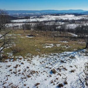 Photo #9 of ORCHARD DR, TIMBERVILLE, VA 60.0 acres