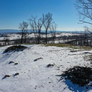 Photo #11 of ORCHARD DR, TIMBERVILLE, VA 60.0 acres