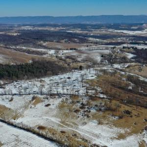 Photo #1 of ORCHARD DR, TIMBERVILLE, VA 60.0 acres
