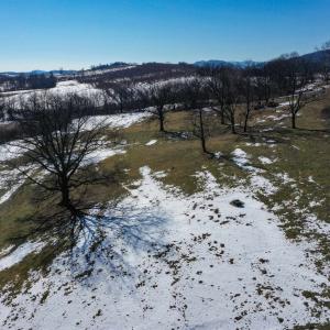 Photo #6 of ORCHARD DR, TIMBERVILLE, VA 60.0 acres