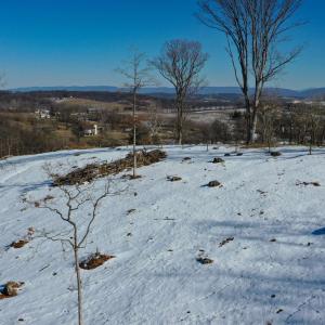 Photo #12 of ORCHARD DR, TIMBERVILLE, VA 60.0 acres