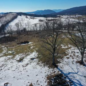 Photo #10 of ORCHARD DR, TIMBERVILLE, VA 60.0 acres