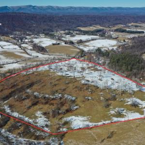 Photo #14 of ORCHARD DR, TIMBERVILLE, VA 60.0 acres