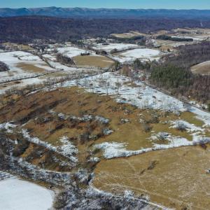 Photo #3 of ORCHARD DR, TIMBERVILLE, VA 60.0 acres