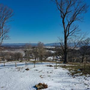 Photo #17 of ORCHARD DR, TIMBERVILLE, VA 60.0 acres