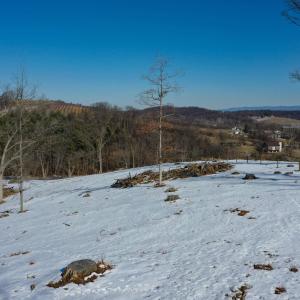 Photo #18 of ORCHARD DR, TIMBERVILLE, VA 60.0 acres