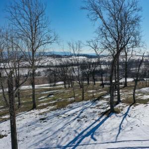 Photo #4 of ORCHARD DR, TIMBERVILLE, VA 60.0 acres