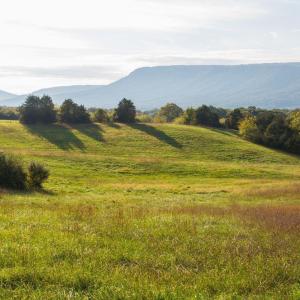Photo #19 of NONE, LURAY, VA 348.0 acres
