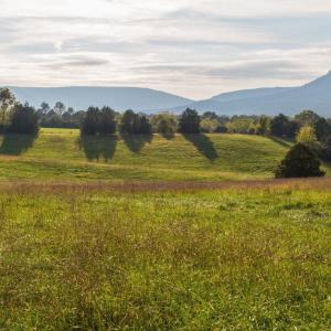 Photo #20 of NONE, LURAY, VA 348.0 acres