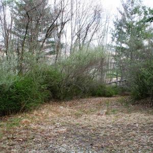Photo #12 of TBD HIGHLAND TPKE, MONTEREY, VA 5.7 acres