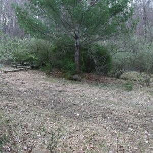 Photo #11 of TBD HIGHLAND TPKE, MONTEREY, VA 5.7 acres