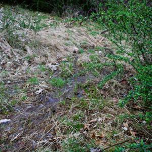 Photo #9 of TBD HIGHLAND TPKE, MONTEREY, VA 5.7 acres
