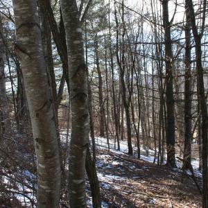 Photo #8 of TBD HIGHLAND TPKE, MONTEREY, VA 5.7 acres