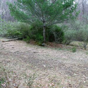 Photo #4 of TBD HIGHLAND TPKE, MONTEREY, VA 5.7 acres