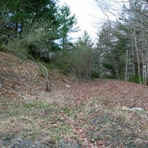 Photo #1 of TBD HIGHLAND TPKE, MONTEREY, VA 5.7 acres