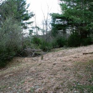 Photo #5 of TBD HIGHLAND TPKE, MONTEREY, VA 5.7 acres