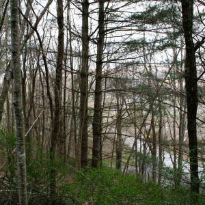 Photo #3 of TBD HIGHLAND TPKE, MONTEREY, VA 5.7 acres