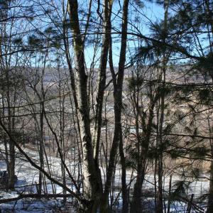Photo #10 of TBD HIGHLAND TPKE, MONTEREY, VA 5.7 acres
