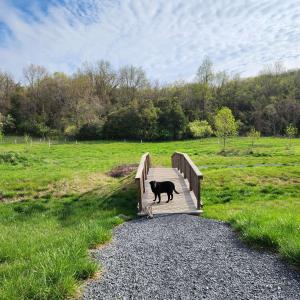 Photo #8 of 104 CARRSBROOK DR, STAUNTON, VA 0.3 acres