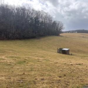 Photo #1 of VINEGAR HILL RD, CHURCHVILLE, VA 1.0 acres