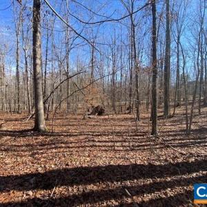 Photo #4 of PINEHURST DR, GORDONSVILLE, VA 0.5 acres