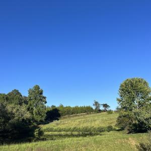 Photo #2 of TBD BEAVERDAM RD, KESWICK, VA 3.4 acres