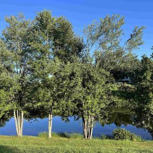 Photo #3 of TBD BEAVERDAM RD, KESWICK, VA 3.4 acres