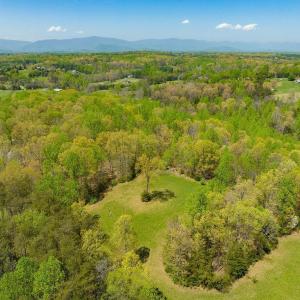Photo #3 of TBD FRAYS MILL RD, RUCKERSVILLE, VA 15.3 acres