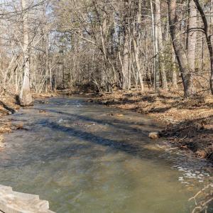 Photo #30 of 358 COUNTY LINE LN, BROADWAY, VA 751.1 acres