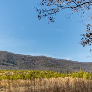 Photo #75 of 358 COUNTY LINE LN, BROADWAY, VA 751.1 acres