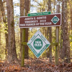 Photo #64 of 358 COUNTY LINE LN, BROADWAY, VA 751.1 acres