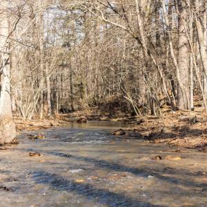Photo #27 of 358 COUNTY LINE LN, BROADWAY, VA 751.1 acres