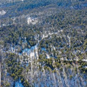 Photo #20 of 358 COUNTY LINE LN, BROADWAY, VA 751.1 acres