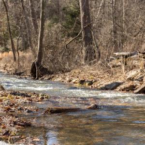 Photo #29 of 358 COUNTY LINE LN, BROADWAY, VA 751.1 acres