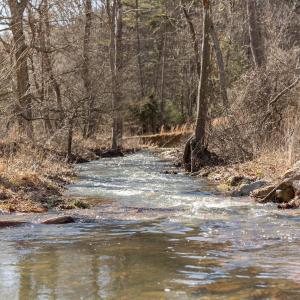 Photo #28 of 358 COUNTY LINE LN, BROADWAY, VA 751.1 acres