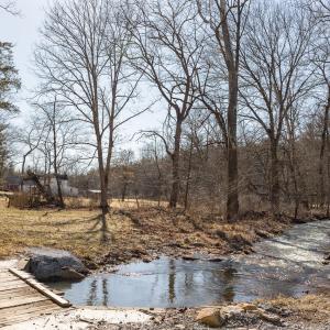 Photo #26 of 358 COUNTY LINE LN, BROADWAY, VA 751.1 acres