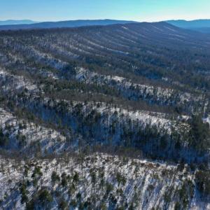 Photo #7 of 358 COUNTY LINE LN, BROADWAY, VA 751.1 acres