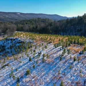 Photo #19 of 358 COUNTY LINE LN, BROADWAY, VA 751.1 acres
