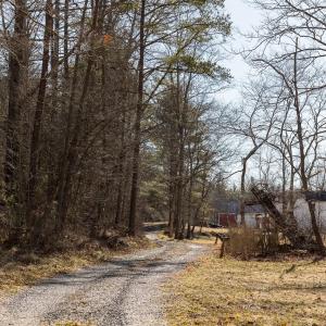 Photo #31 of 358 COUNTY LINE LN, BROADWAY, VA 751.1 acres