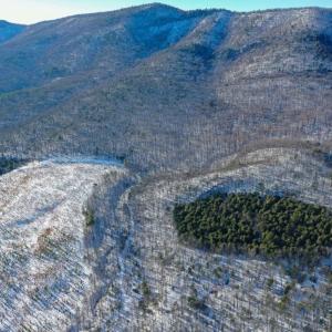 Photo #14 of 358 COUNTY LINE LN, BROADWAY, VA 751.1 acres
