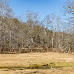 Photo #71 of 358 COUNTY LINE LN, BROADWAY, VA 751.1 acres