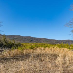 Photo #73 of 358 COUNTY LINE LN, BROADWAY, VA 751.1 acres