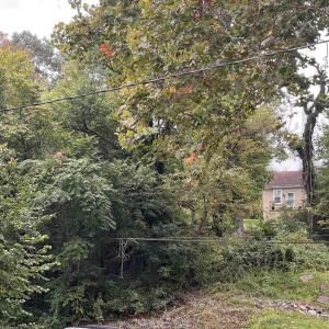 Photo #5 of 1002 2ND ST, CHARLOTTESVILLE, VA 0.1 acres