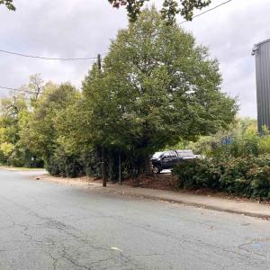 Photo #2 of 1002 2ND ST, CHARLOTTESVILLE, VA 0.1 acres