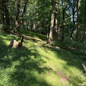 Photo #7 of TBD WHISPERING LN, STANLEY, VA 1.6 acres