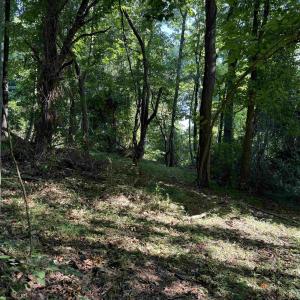 Photo #12 of TBD WHISPERING LN, STANLEY, VA 1.6 acres