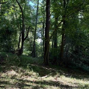 Photo #14 of TBD WHISPERING LN, STANLEY, VA 1.6 acres