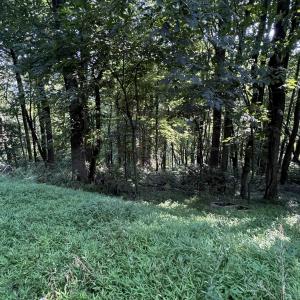 Photo #9 of TBD WHISPERING LN, STANLEY, VA 1.6 acres