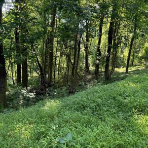 Photo #8 of TBD WHISPERING LN, STANLEY, VA 1.6 acres